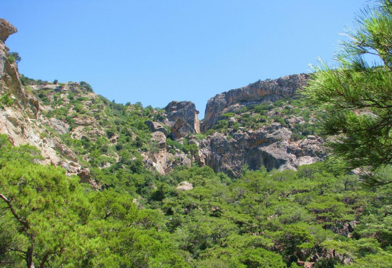 Villa Kalliopi Koutsounári Buitenkant foto