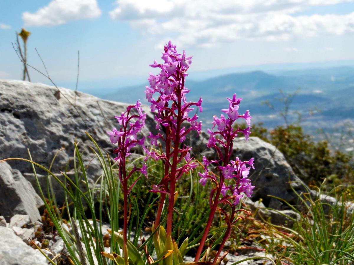 Villa Kalliopi Koutsounári Buitenkant foto